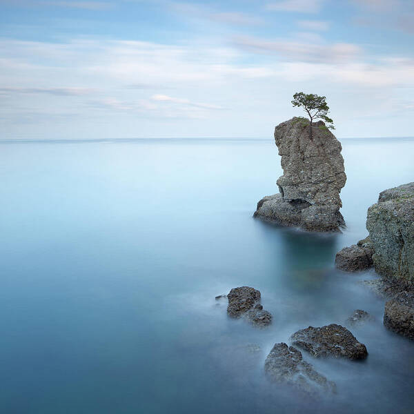 Aerial Poster featuring the photograph Pine Tree Rock in Portofino by Stefano Orazzini