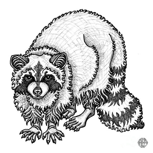 Animal Portrait Poster featuring the drawing Raccoon by Amy E Fraser