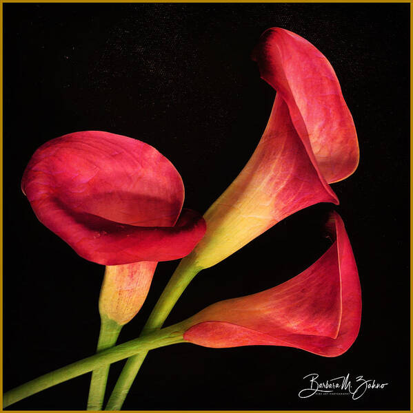Flowers Poster featuring the photograph Red Lilies Trio by Barbara Zahno