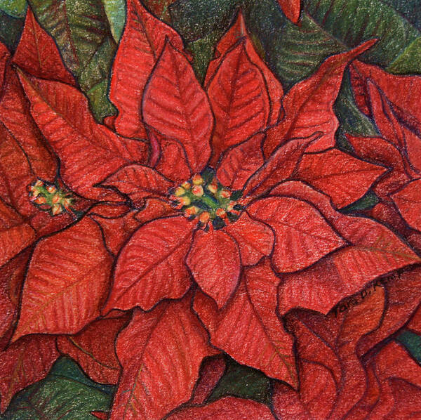 Red Poster featuring the painting Red Poinsettia by Tara D Kemp