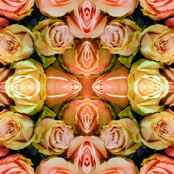 Rose Poster featuring the digital art Rose 2 by Scott S Baker