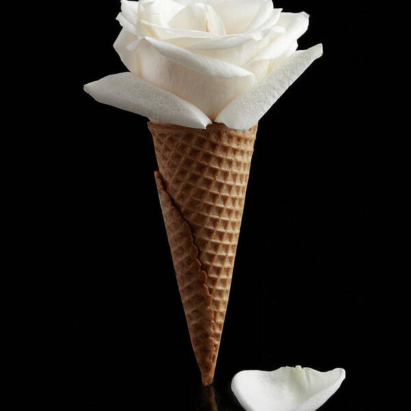 Black Background Poster featuring the photograph Rose Ice Cream Cone by Shana Novak