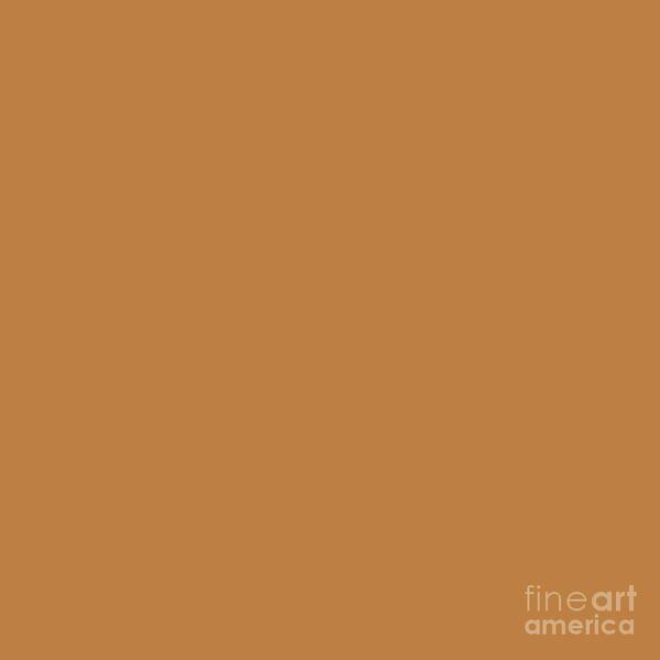Rustic Poster featuring the digital art Rustic Orange by Delynn Addams for Interior Home Decor by Delynn Addams