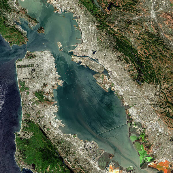 Satellite Image Poster featuring the digital art San Francisco Bay from space by Christian Pauschert