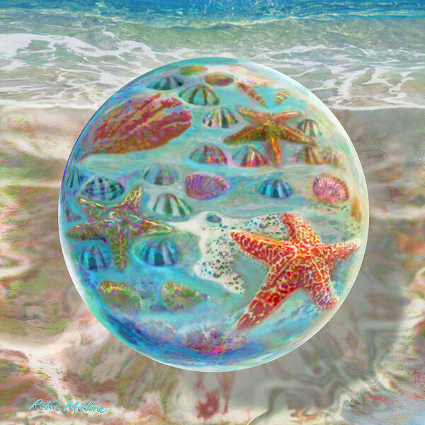 Sea Shells Poster featuring the digital art Sea of Shells by Robin Moline