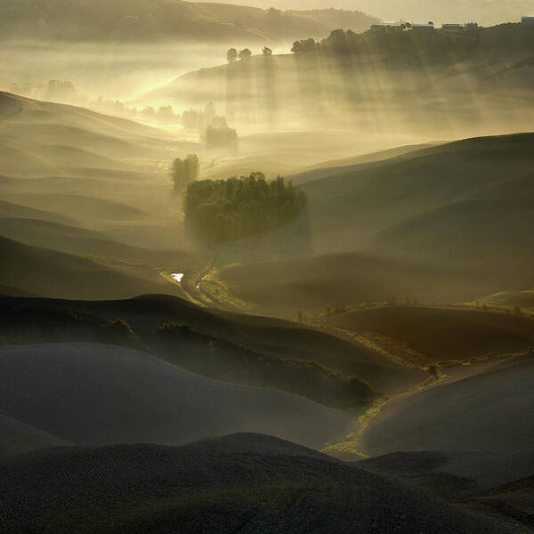 Tuscany Poster featuring the photograph Silent Morning by Adam Pachula