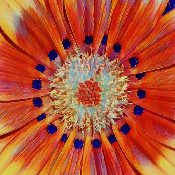Orange Poster featuring the digital art Solar Plexus Bloom by Cindy Greenstein