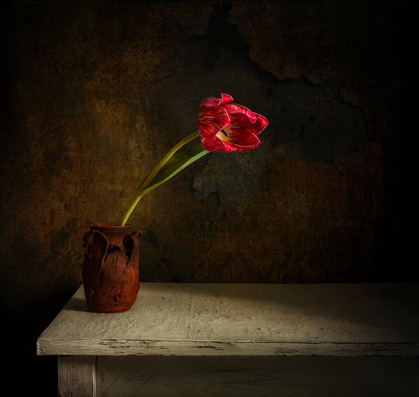 Still Life Poster featuring the photograph Still Life With Flower by Mykhailo Sherman