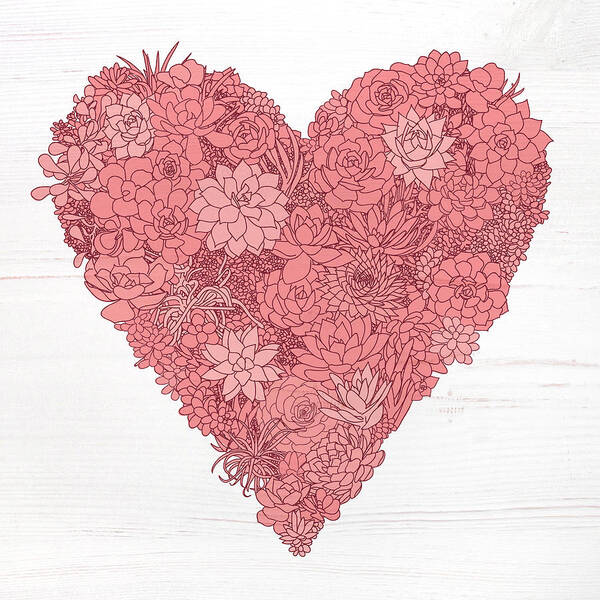 Succulents Poster featuring the painting Pink Succulent Heart White Background by Jen Montgomery