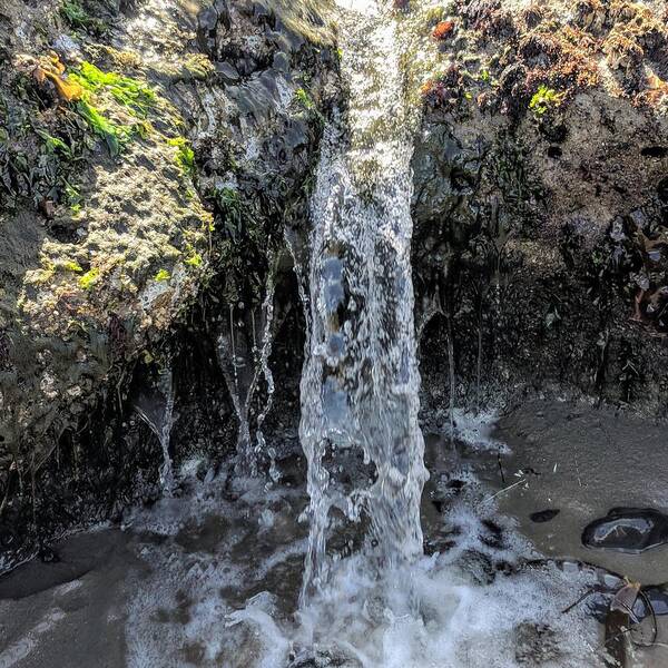 Water Poster featuring the photograph Tidal Falls by Misty Morehead