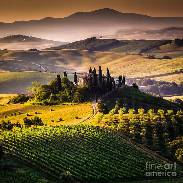 Country Poster featuring the photograph Tuscany Italy - Landscape by Ronnybas Frimages