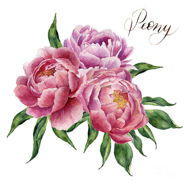Watercolor Painting Poster featuring the digital art Watercolor Peonies Bouquet Isolated by Yuliya Derbisheva
