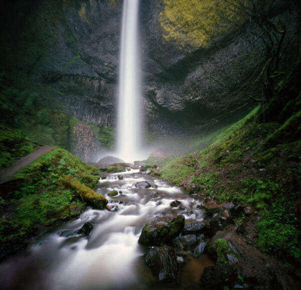 Scenics Poster featuring the photograph Waterfall In Dark Lush Gorge by Danielle D. Hughson
