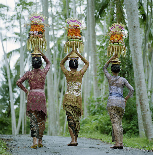Mid Adult Women Poster featuring the photograph Women Carrying Temple Offerings by Martin Puddy