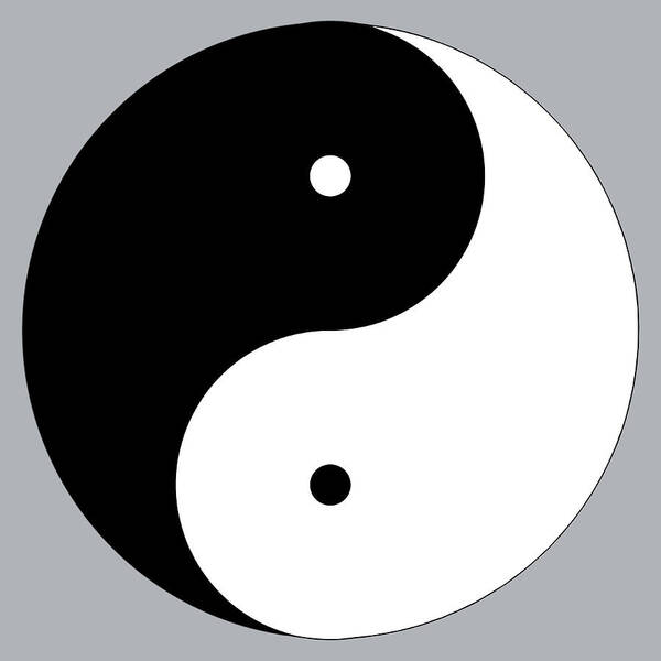 Yin/yang Poster featuring the digital art YinYang B by Jim Dollar