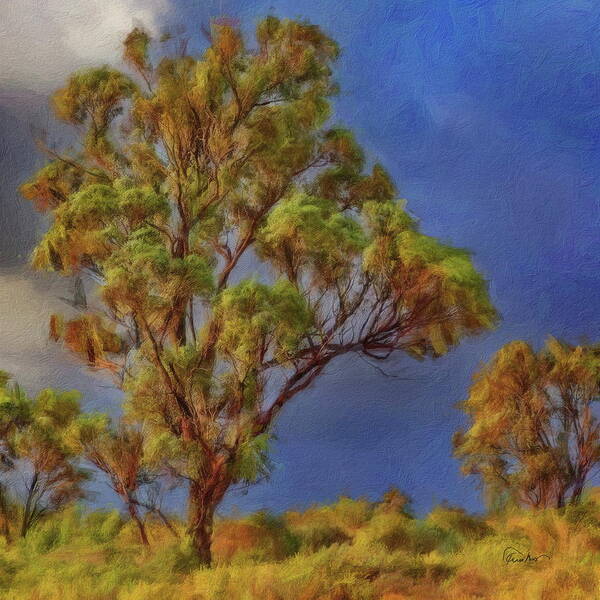 Eucalyptus Poster featuring the digital art Eucalyptus Trees #1 by Russ Harris