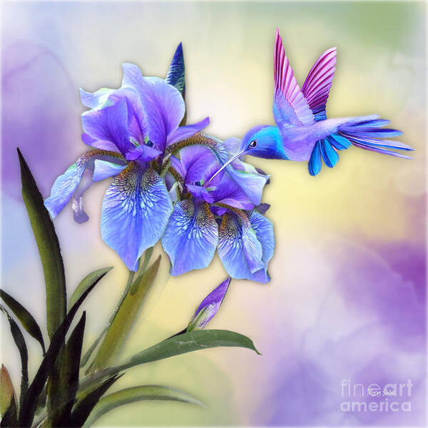 Hummingbird Poster featuring the mixed media Hummingbird on Iris #3 by Morag Bates