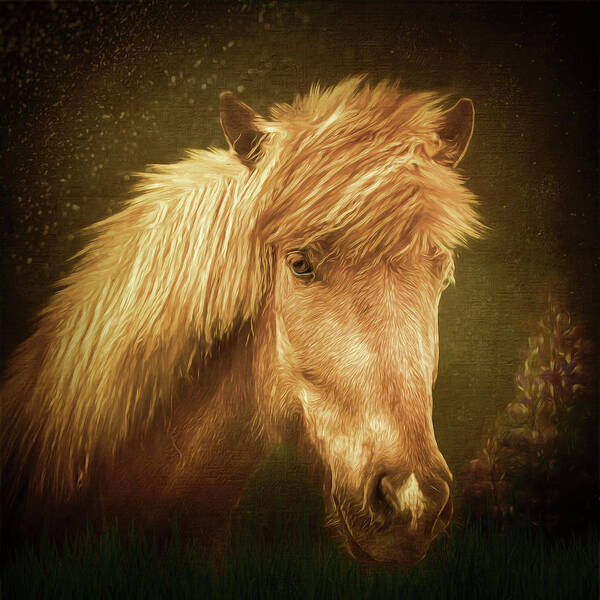 Iceland Horse Poster featuring the digital art Icelandic Horse #1 by Maggy Pease