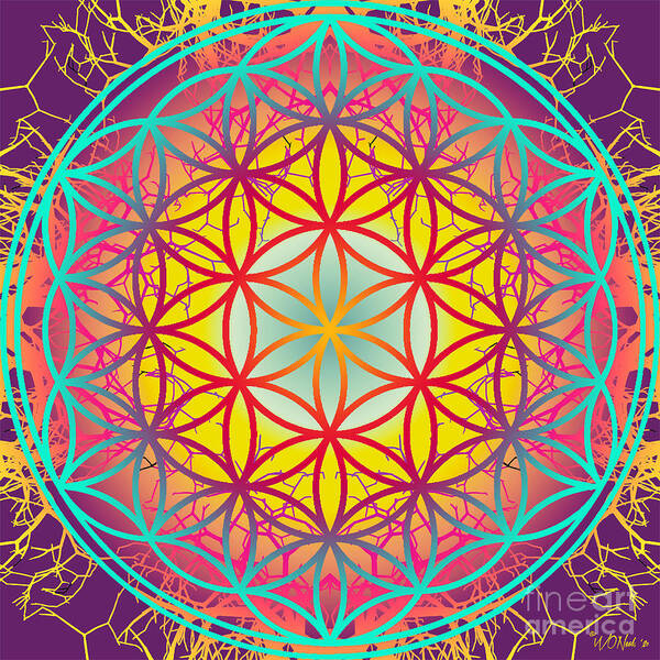 Geometry Poster featuring the digital art Sacred Geometry, No.12 by Walter Neal