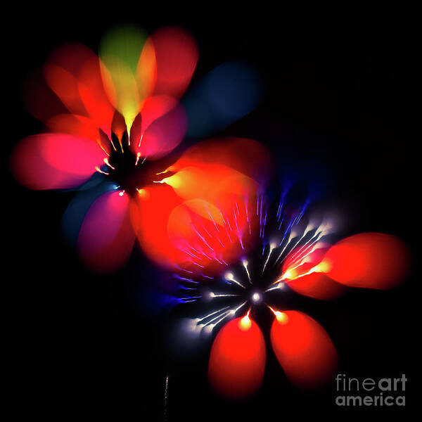 Fireworks Poster featuring the photograph Fireworks #10 by Doug Sturgess
