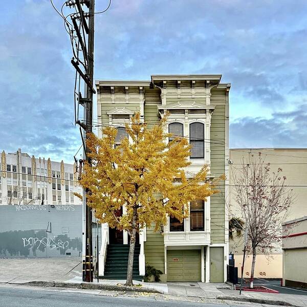  Poster featuring the photograph 214 Duboce by Julie Gebhardt