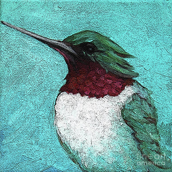 Bird Poster featuring the painting 5 Humming Bird by Victoria Page