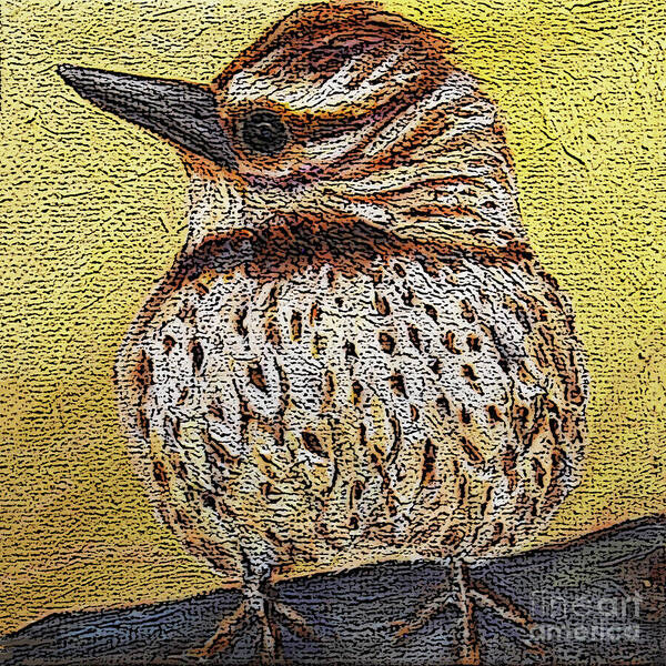 Bird Poster featuring the painting 50 Cactus Wren by Victoria Page