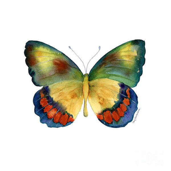 Bagoe Butterfly Poster featuring the painting 67 Bagoe Butterfly by Amy Kirkpatrick