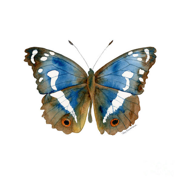 Apatura Iris Poster featuring the painting 78 Apatura Iris Butterfly by Amy Kirkpatrick