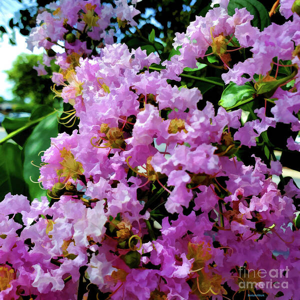 Gatlinburg Tennessee Poster featuring the photograph A Bunch of Beauty by Roberta Byram