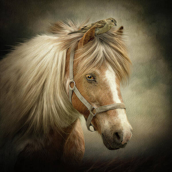 Icelandic Horse Poster featuring the digital art A Place to Hide by Maggy Pease