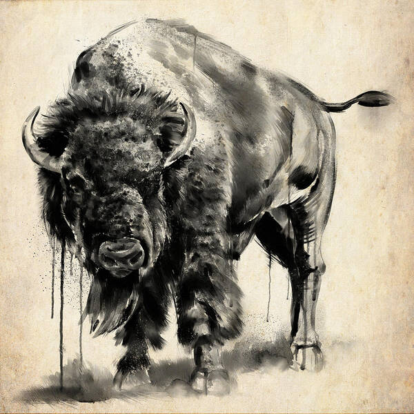 Bison Poster featuring the digital art American Bison Study by Shawn Conn