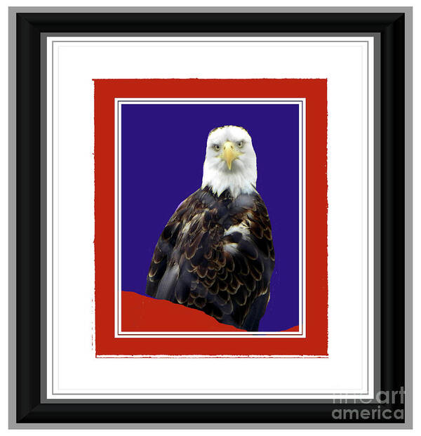 American Poster featuring the photograph American Eagle by Shirley Moravec