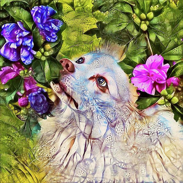 American Eskimo Dog Poster featuring the digital art American Eskimo Dog Smelling Flowers by Peggy Collins