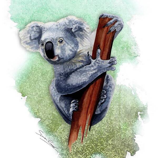 Art Poster featuring the painting Australian Koala by Simon Read