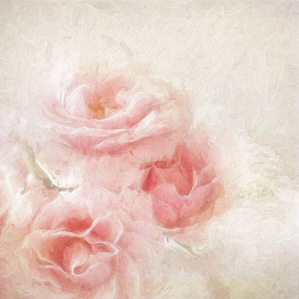 Floral Poster featuring the photograph Baby Roses by Karen Lynch