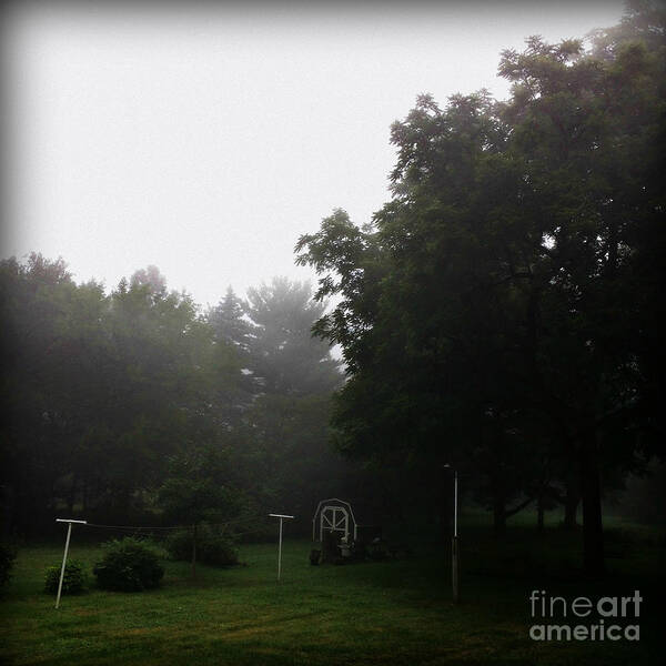 Nature Poster featuring the photograph Backyard Morning Fog by Frank J Casella