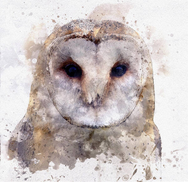 Barn Owl In Watercolor Poster featuring the digital art Barn Owl in Watercolor by Susan Maxwell Schmidt