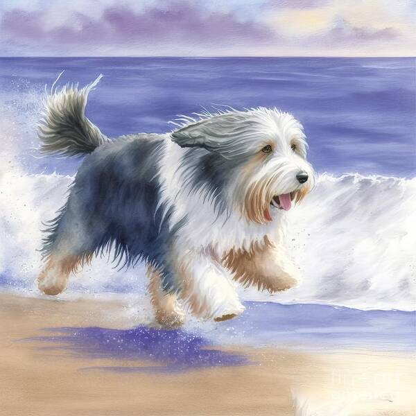 Bearded Collie Poster featuring the painting Bearded Collie At Beach by N Akkash