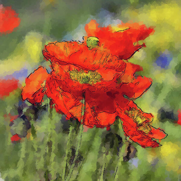Poppies Poster featuring the painting Blooming Poppies by Alex Mir