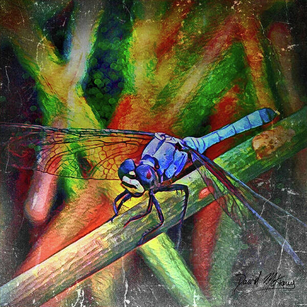 Colorful Poster featuring the digital art Blue Dragonfly by David McKinney