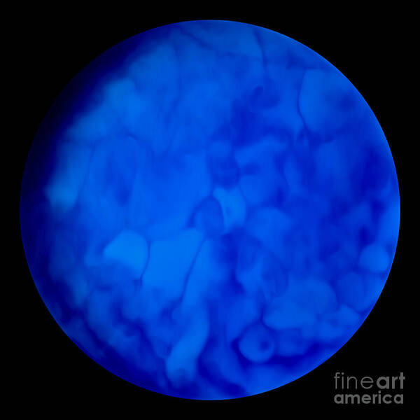 Blue Poster featuring the photograph Blue Java Moon by Tracy Delfar