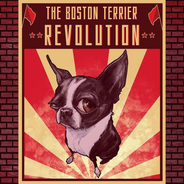 Boston Terrier Poster featuring the drawing Boston Terrier REVOLUTION by John LaFree