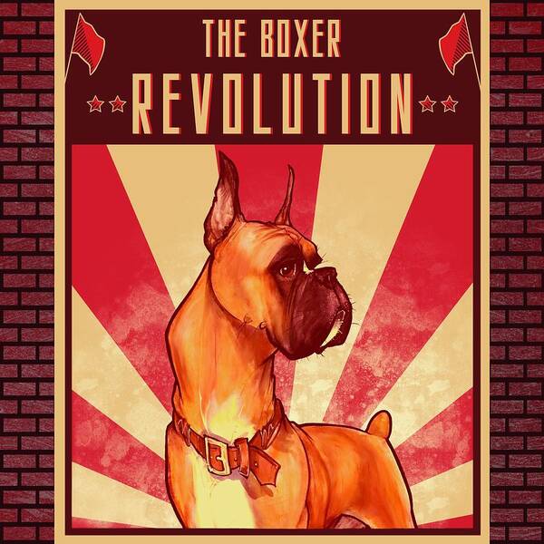 Boxer Poster featuring the drawing Boxer REVOLUTION by John LaFree