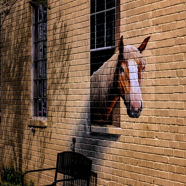 Marietta Georgia Poster featuring the photograph Charleston Horse Mural by Tom Singleton