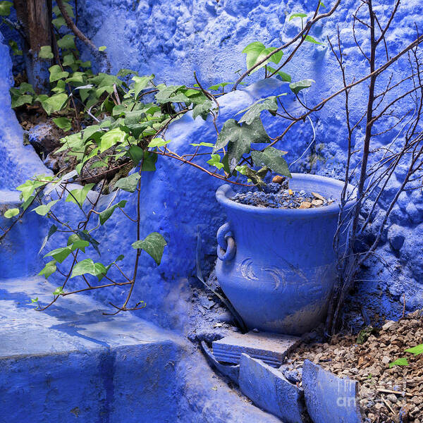 Chefchaouen Poster featuring the photograph Chefchaouen Plant Pot 01 by Rick Piper Photography