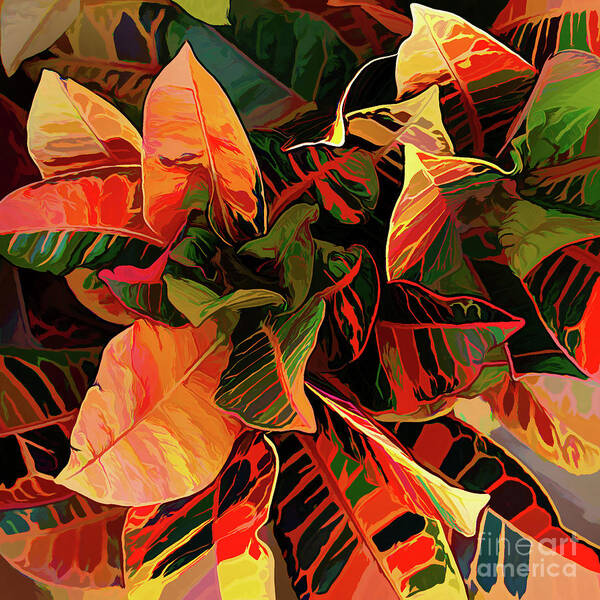 Graphic Poster featuring the photograph Colorful Crotons-1 by Neala McCarten