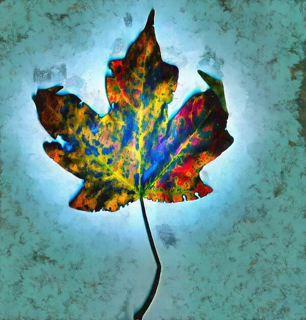 Leaf Poster featuring the mixed media Colorful Leaf by Christopher Reed