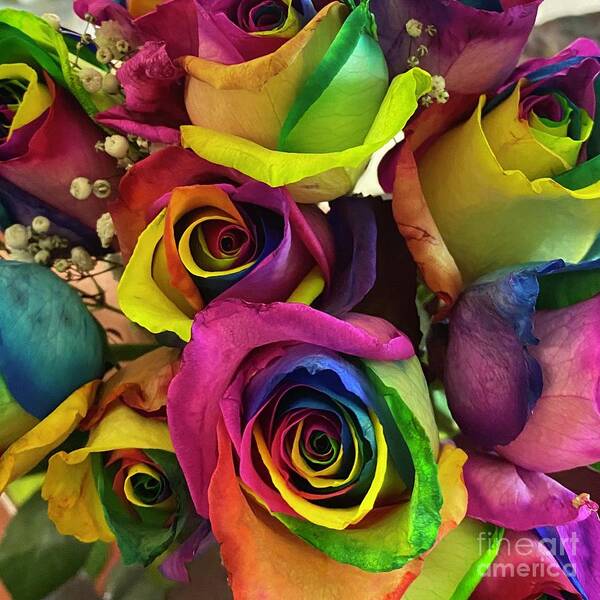 #roses #multicoloredroses #coloroflove #photography #vibrantcolors #botanicals #gardenflowers #mothersday #dottiephelpsvisker Poster featuring the photograph Colors of Love by Dottie Visker
