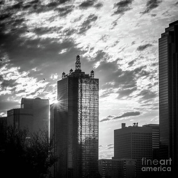 Dallas Sunrise In Black And White Poster featuring the photograph Dallas Sunrise in Black and White by Imagery by Charly